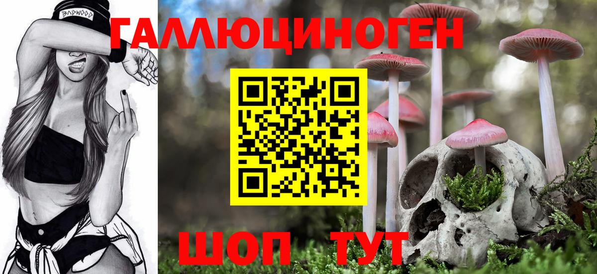 купить наркотики сайты  Вход с VPN  Губкинский  Псилоцибиновые грибы MAGIC MUSHROOMS 