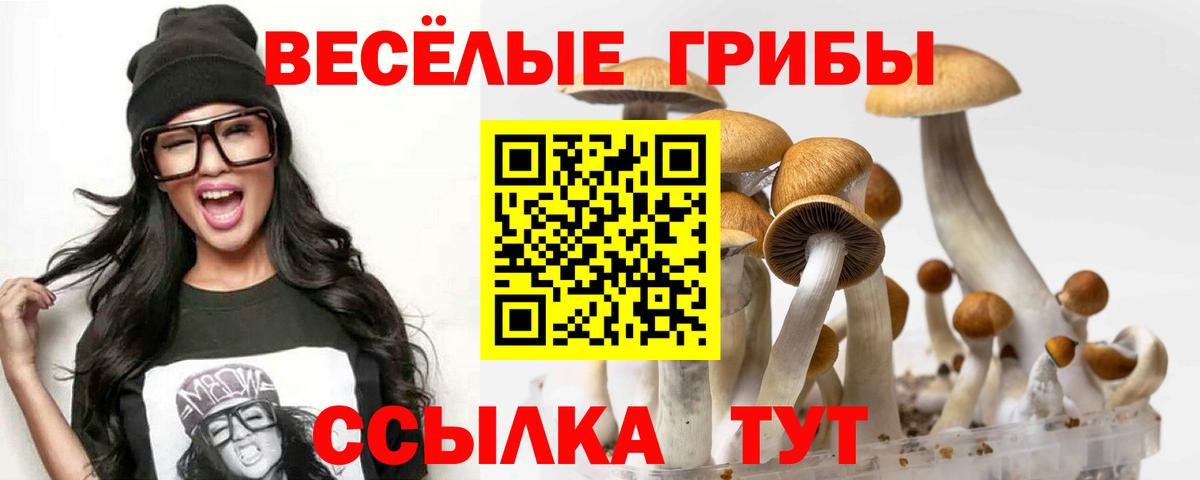 Галлюциногенные грибы Psilocybine cubensis Губкинский