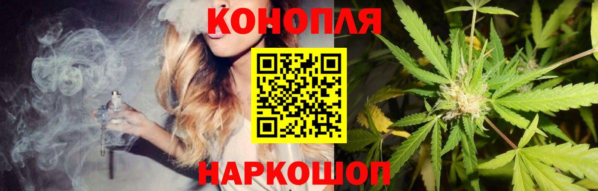 Каннабис MAZAR Губкинский